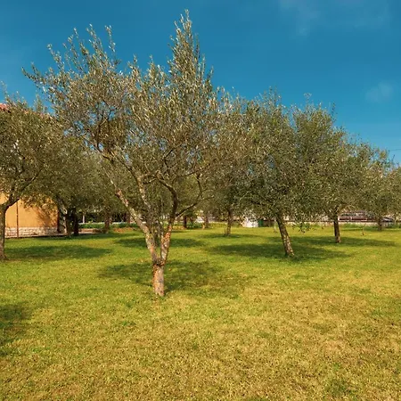 Appartement Olga *