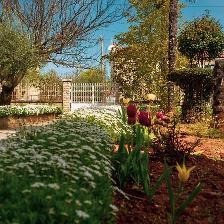 Olga Апартаменты Пореч