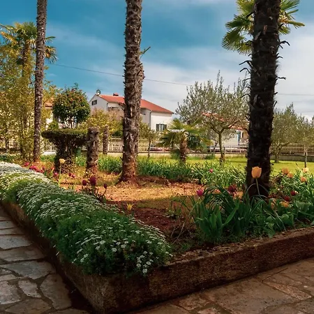 Olga פורץ